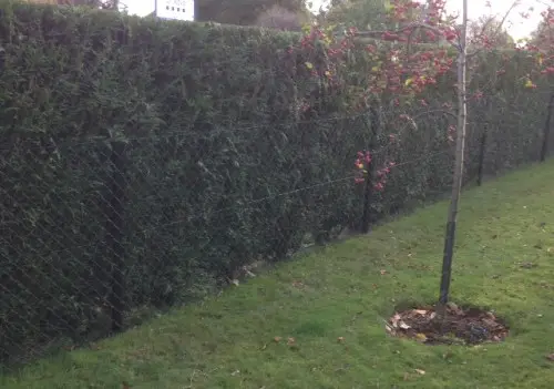 Chain link fencing Aylesbury