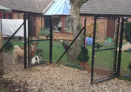 Animal Enclosures