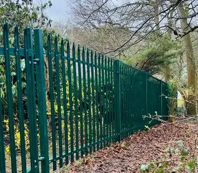 Triple Pointed Palisade 2